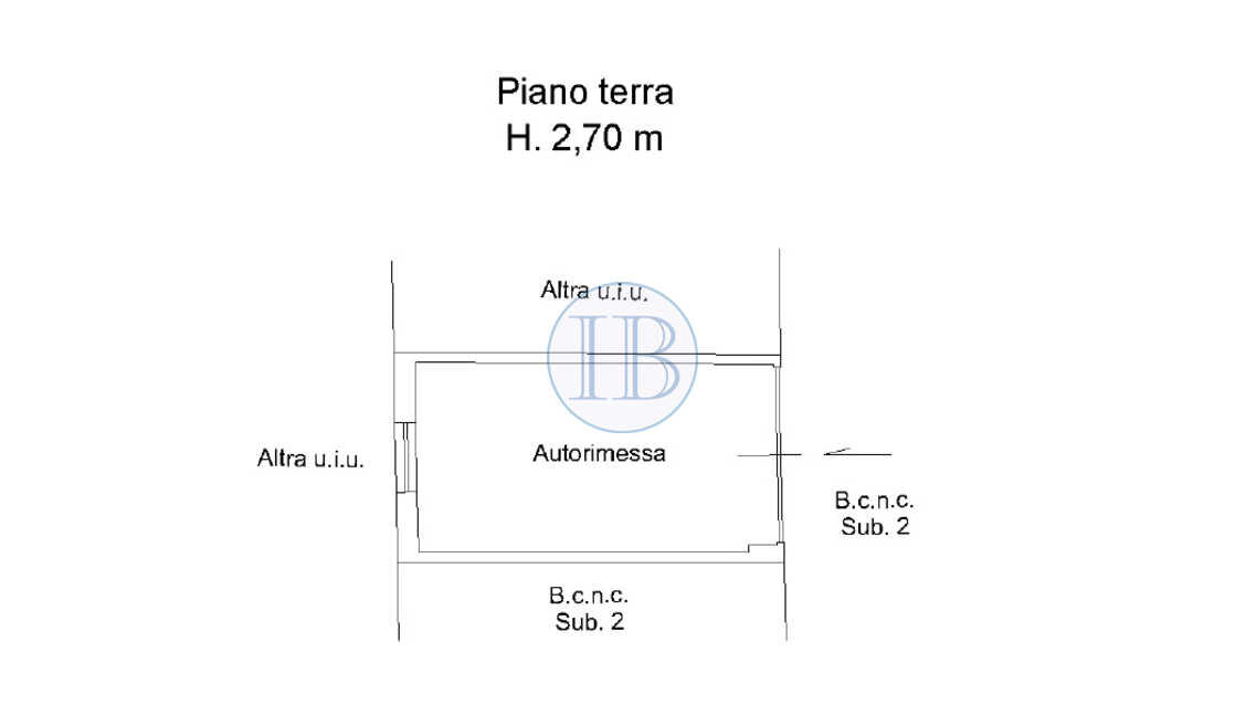 pianta box